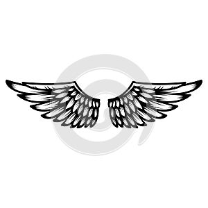 Wings isolated on white background. Design element for logo, label, emblem, sign.