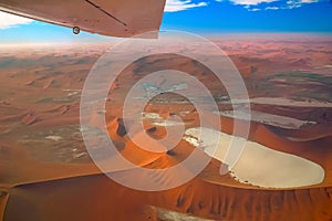 Wings over the Namib