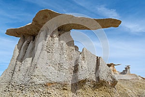 The Wings rock formation in Bisti/De-Na-Zin Wilderness Area, New Mexico