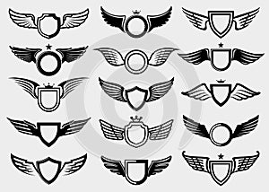 Wings set. Collection icon wings. Vector