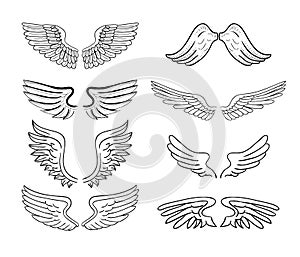 Wings set, vector illustrations