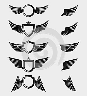 Wings set. Vector
