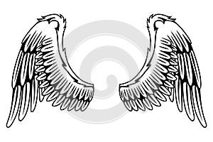 Wings sketch. Stylized birds wings. Hand drawn contoured stiker wing in open position. Vector design elements in