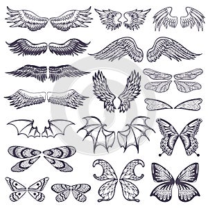 Wings vector flying winged angel with wing-case of bird and butterfly with wingspan illustration black wing-beat tattoo photo