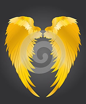 Wings. Vector illustration on dark background. Golden metal