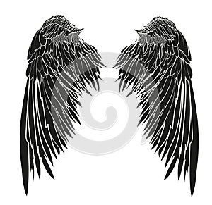 Wings. Vector illustration on white background. Black and white