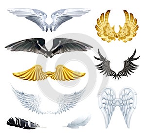 Wings vector illustrations