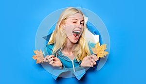 Winking woman with maple leaves looking through paper hole. Smiling girl in blue hoodie sweatshirt with autumn foliage