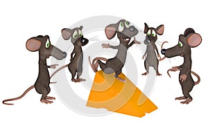 Winner - cartoon mice