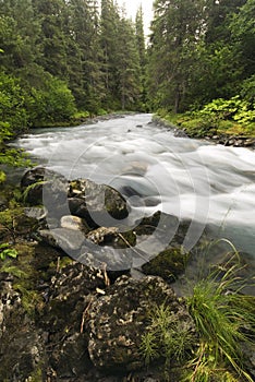 Winner Creek, Girdwood, Alaska