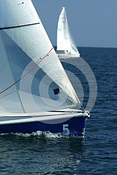 The winner and losed / Sailing sport / regatta