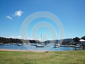 Winnererremy Bay Foreshore Reserve