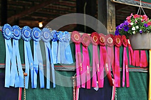 Winners Circle Ribbons