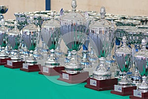 The winners` cups. The prizes of honor