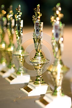 Winners Trophies