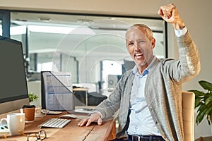 Winning at business. Portrait of a mature businessman raisng his arm in a cheer while sitting at his desk in an office.