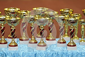 Winning cups