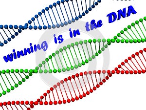 Winning dna