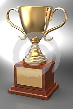 Winning gold trophy award cup plaque