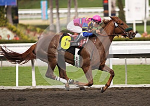 Winning Her First Race