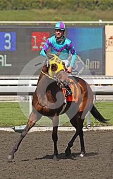 Winning her First Race