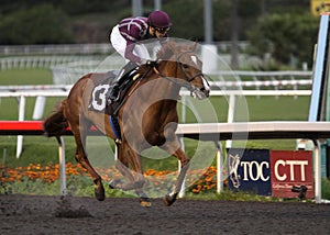 Winning His First Race