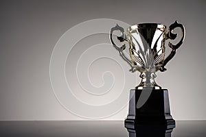 Winning trophy championship award