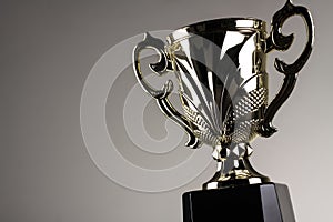 Winning trophy championship award