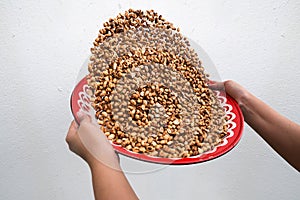 Winnow roasted peanuts on gray wall background