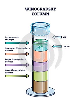 Winogradsky column device method for soil science research outline diagram