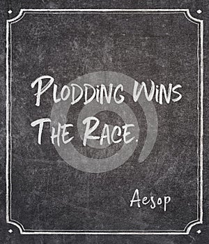 Wins the race Aesop