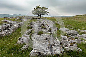 Winskill Stones Nature Reserve