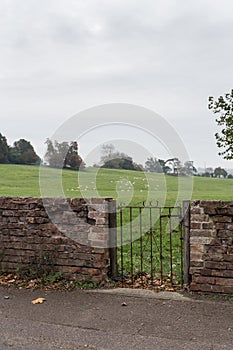 Winslow, Buckinghamshire, United Kingdom, October 25, 2016: Wins