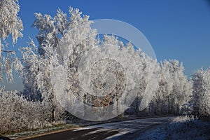 Winter 1918 Frost Lined