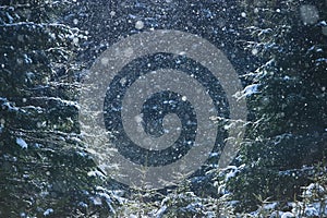 Winter abstract background