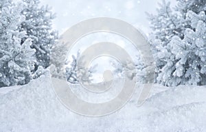 Winter abstract blurred background. Frosty landscape with pines and snowdrifts photo