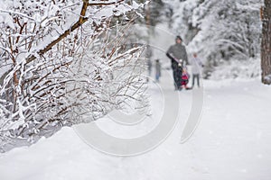 Winter. Abstract family walking in snow covered park. Snowy frozen landscape. Winter lifestyle, selective focus