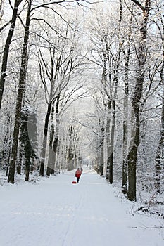 Winter active people breakout in a snow scenery forest