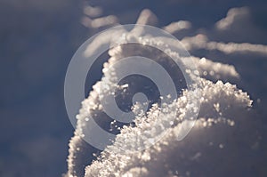 Winter adventures. Hike in the forest. Carpathians. Ukraine.Snow abstraction.