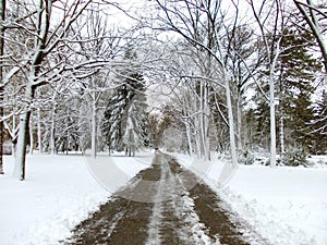 Winter alley