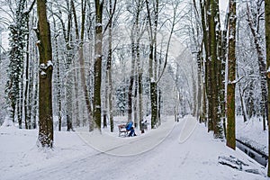 Winter Alley Covered with Cnow in Park Outdoors