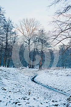 Winter Alley Covered with Cnow in Park Outdoors