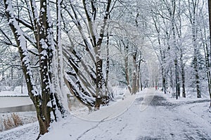 Winter Alley Covered with Cnow in Park Outdoors