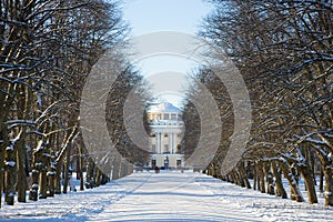 Winter alley leading to the Pavlovsk Palace. Pavlovsk palace park, the surroundings of St. Petersburg