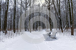 Winter alley with park benches covered by heavy snow