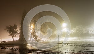 Winter alley in park and shining lanterns. Night shot. Winter wonderland