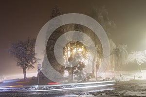 Winter alley in park and shining lanterns. Night shot. Winter wonderland