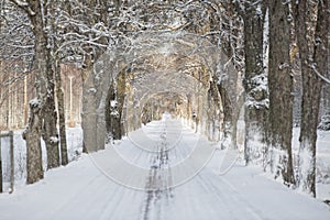 Winter Alley with selective focus