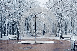 Winter alley with snow-covered trees in the city park
