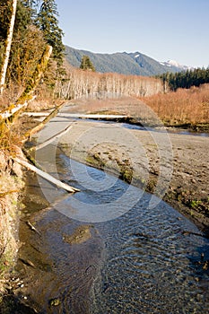 Winter Along Mountain Stream Hoh River Banks Olympic Mountains